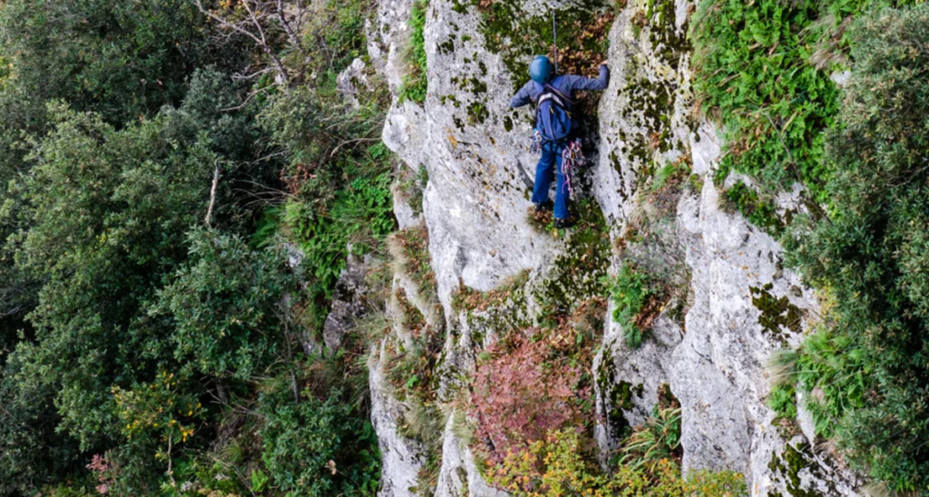 A free climber was stranded 250 feet up a mountain. His 911 call reveals his one true fear. Survival, True Stories, Outdoors, Funny, Family