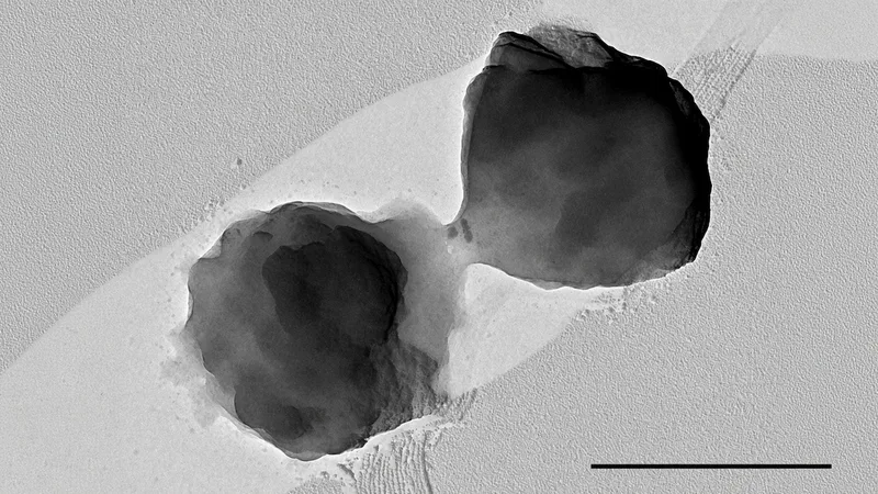 Earth Microbe Grows in Lab Replica of Enceladus’s Seafloor – Passionfruit Earth Microbe Grows in Lab Replica of Enceladus’s Seafloor